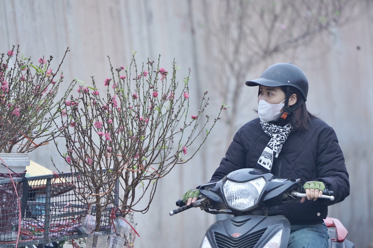 ‘ตาล้า’ ตามหากิ่งและกิ่งท้อ วันที่ 15 เดือน 12 จันทรคติ ภาพที่ 12