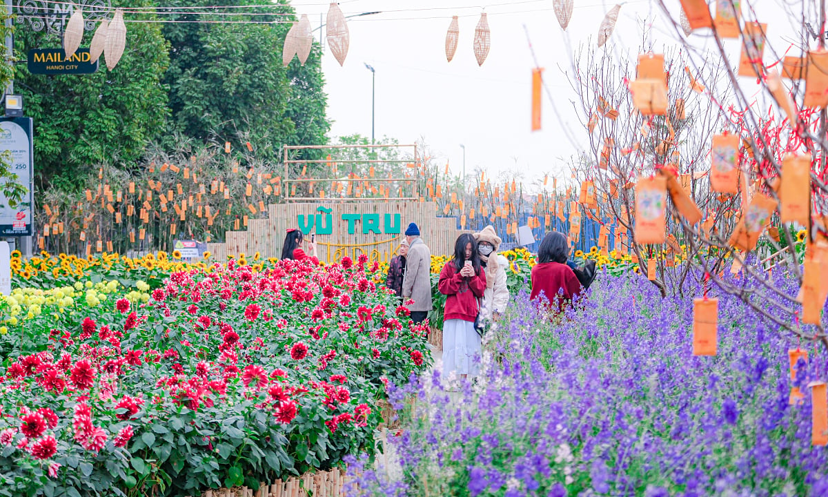 Many cultural activities at the spring flower street in the west of Hanoi