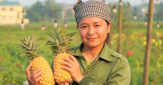 Turning wasteland into clean vegetable farms