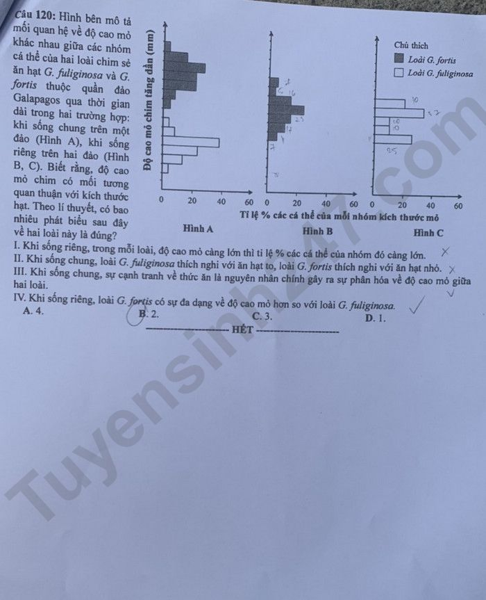 de thi tot nghiep thpt 2023 mon sinh hoc ma de 219 hinh 6