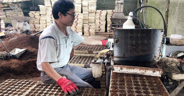 Erfindung einer Saatmaschine, die wie ein Pendel fährt. Das ganze Dorf in Lam Dong lobte den Bauern, die Leute wollten sie kaufen.