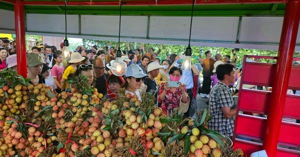 Invite each other to "hunt" for specialties at the Southern Fruit Festival