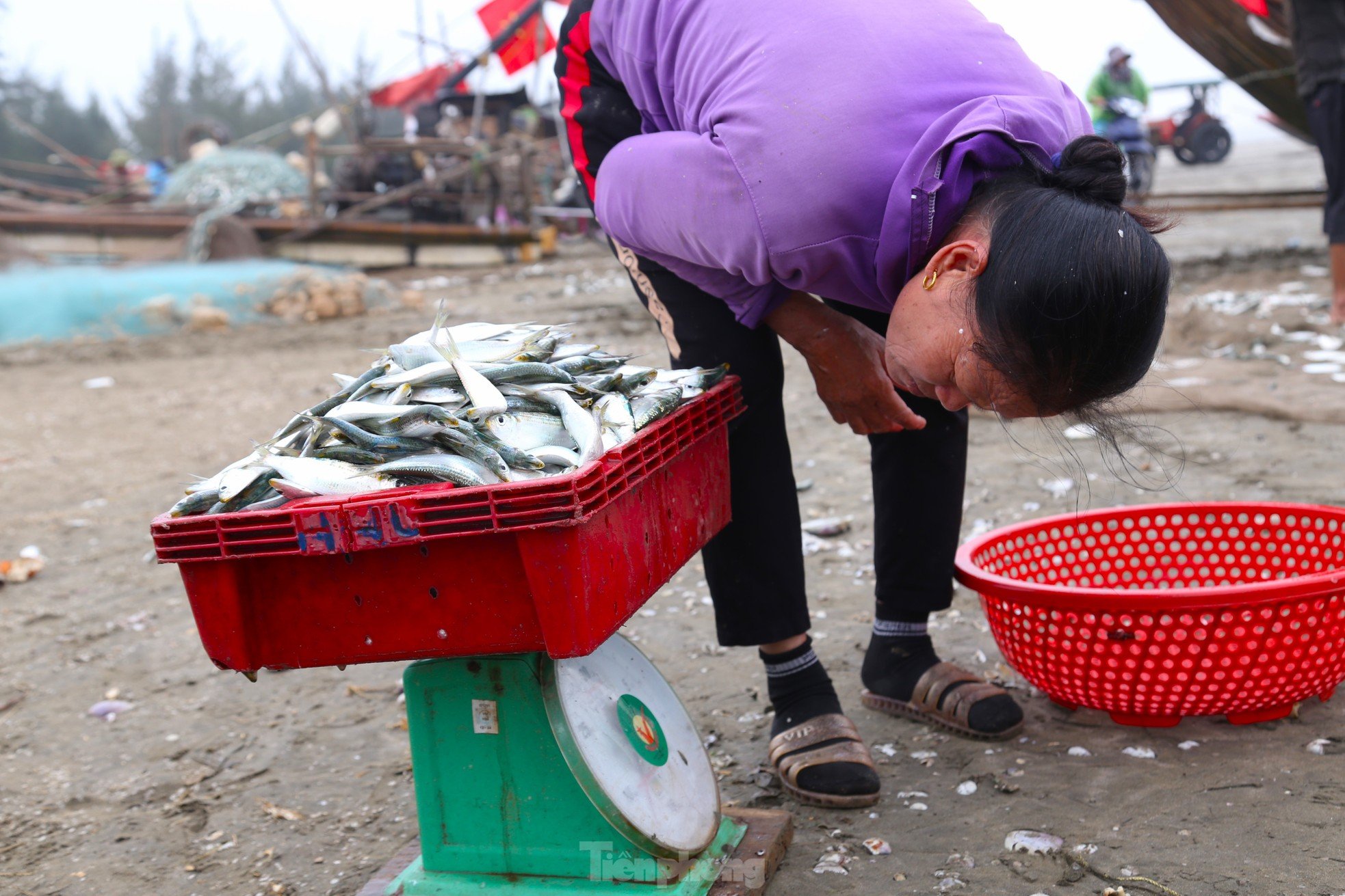 真夜中の波間を釣り、「高タンパク」の魚を捕まえる漁師の手は、それを外すのに疲れている。写真12