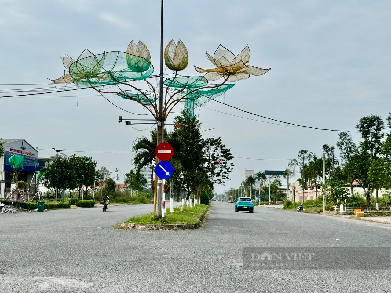 Hoa kiểng, sản phẩm OCOP Đồng bằng sông Cửu Long sẽ có mặt tại Chợ hoa Xuân và Tết Tây Đô năm 2025