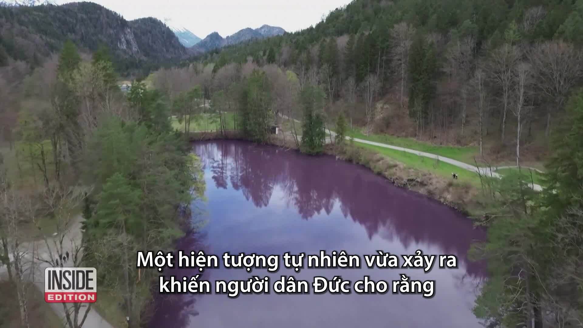 Flock to see purple lake in Germany