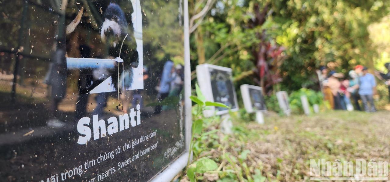 „Glückliche Bären“ in Vietnams größtem Rettungszentrum Foto 6