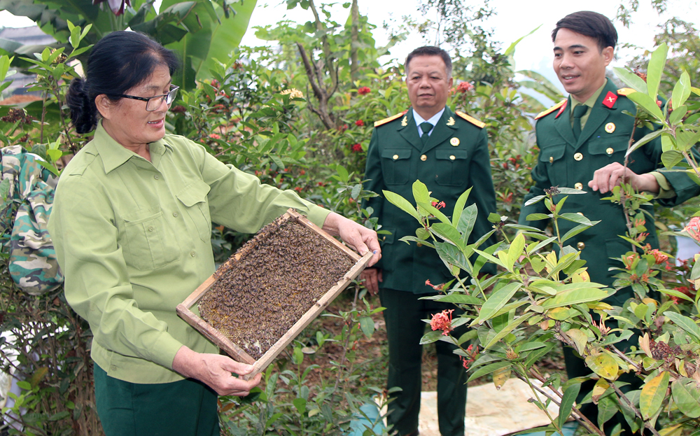 “OCOP honey” of veteran Minh Quan