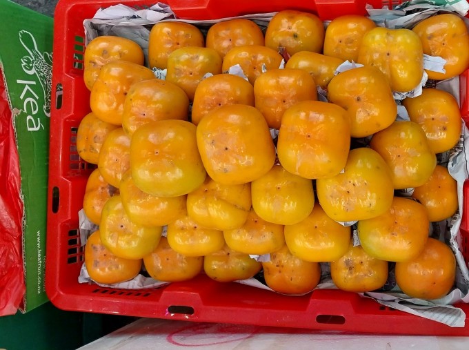 Crispy Thai persimmons are contained in 10kg plastic baskets at Thu Duc wholesale market. Photo: Thi Ha