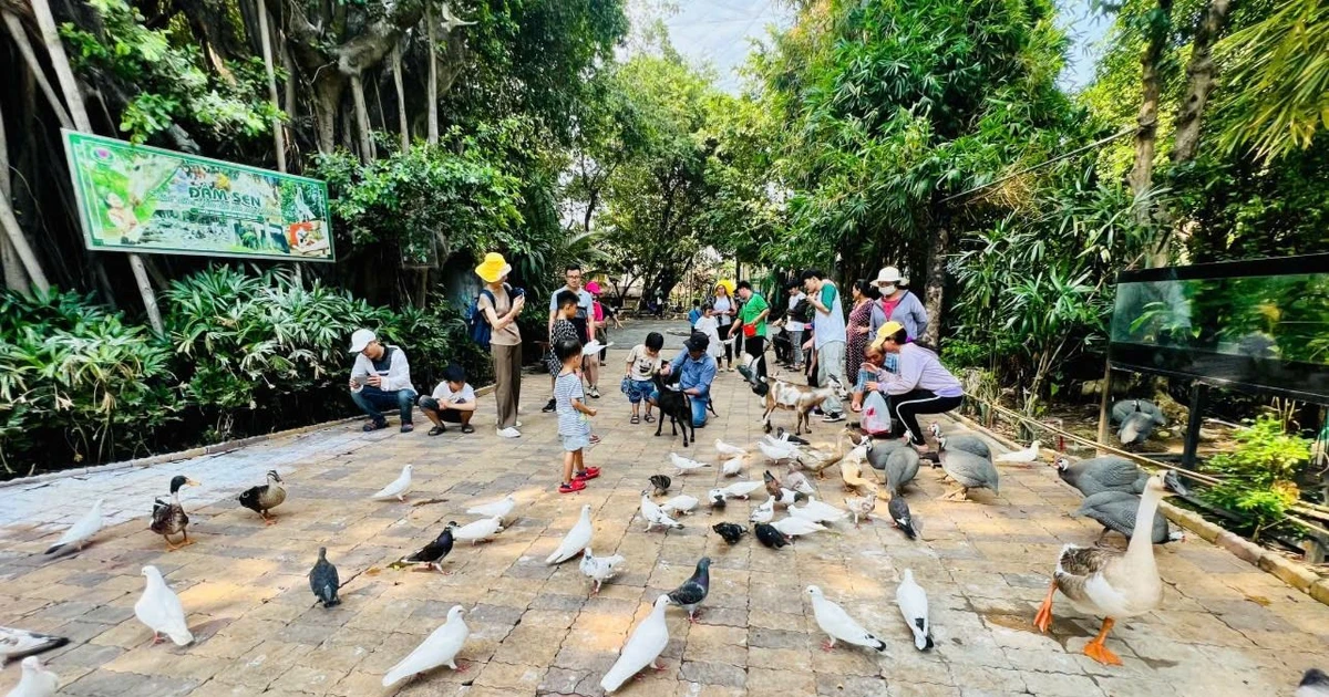 Les habitants de Ho Chi Minh-Ville sont occupés à s'amuser et à réserver des services d'observation de feux d'artifice.