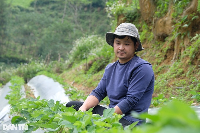 Cảnh báo lừa đảo đưa lao động sang Hàn Quốc làm việc thời vụ - 1