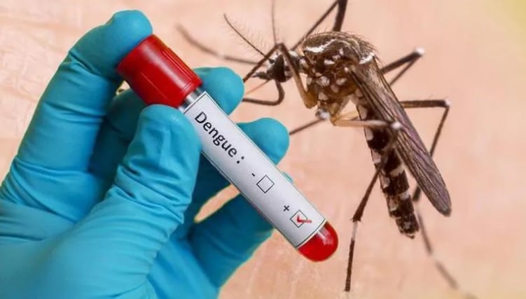 Événement - 13 décès, le ministère de la Santé demande de prévenir l'épidémie de dengue