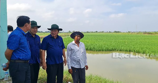 En Bac Lieu, ¿qué tipo de animal cría la gente en sus arrozales que enriquece a todas las familias que lo crían?