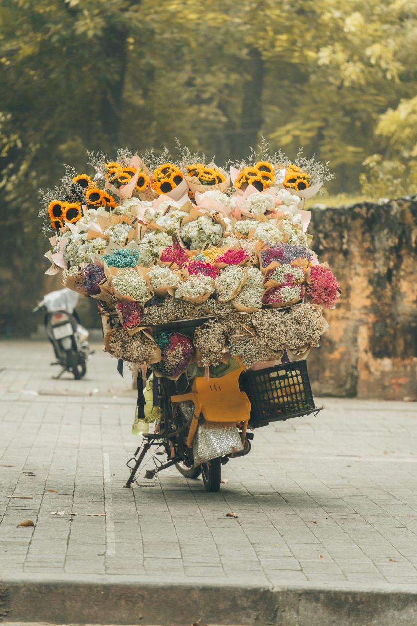 ハノイの秋の「名物」は色とりどりの花の車です。