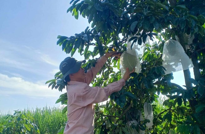 was Gärtnern Schwierigkeiten bereitet. Foto: Bich Ngoc