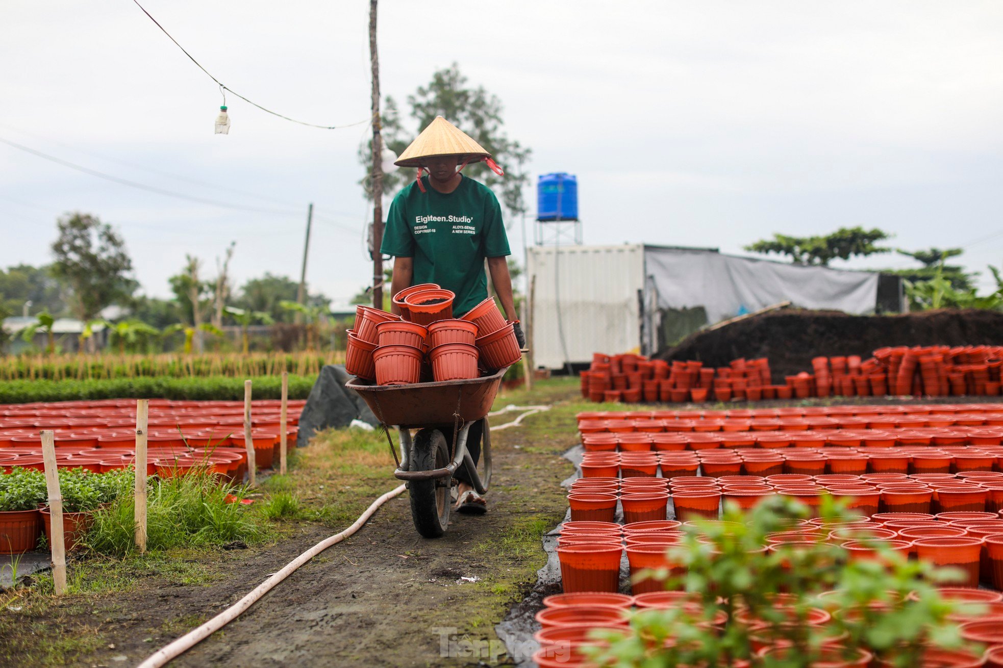 El pueblo de flores del Tet más grande de la ciudad de Ho Chi Minh está 'distorsionado' por el clima foto 5