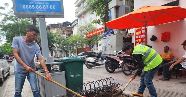 After cleaning up fallen trees, Hanoi begins to rebuild green spaces