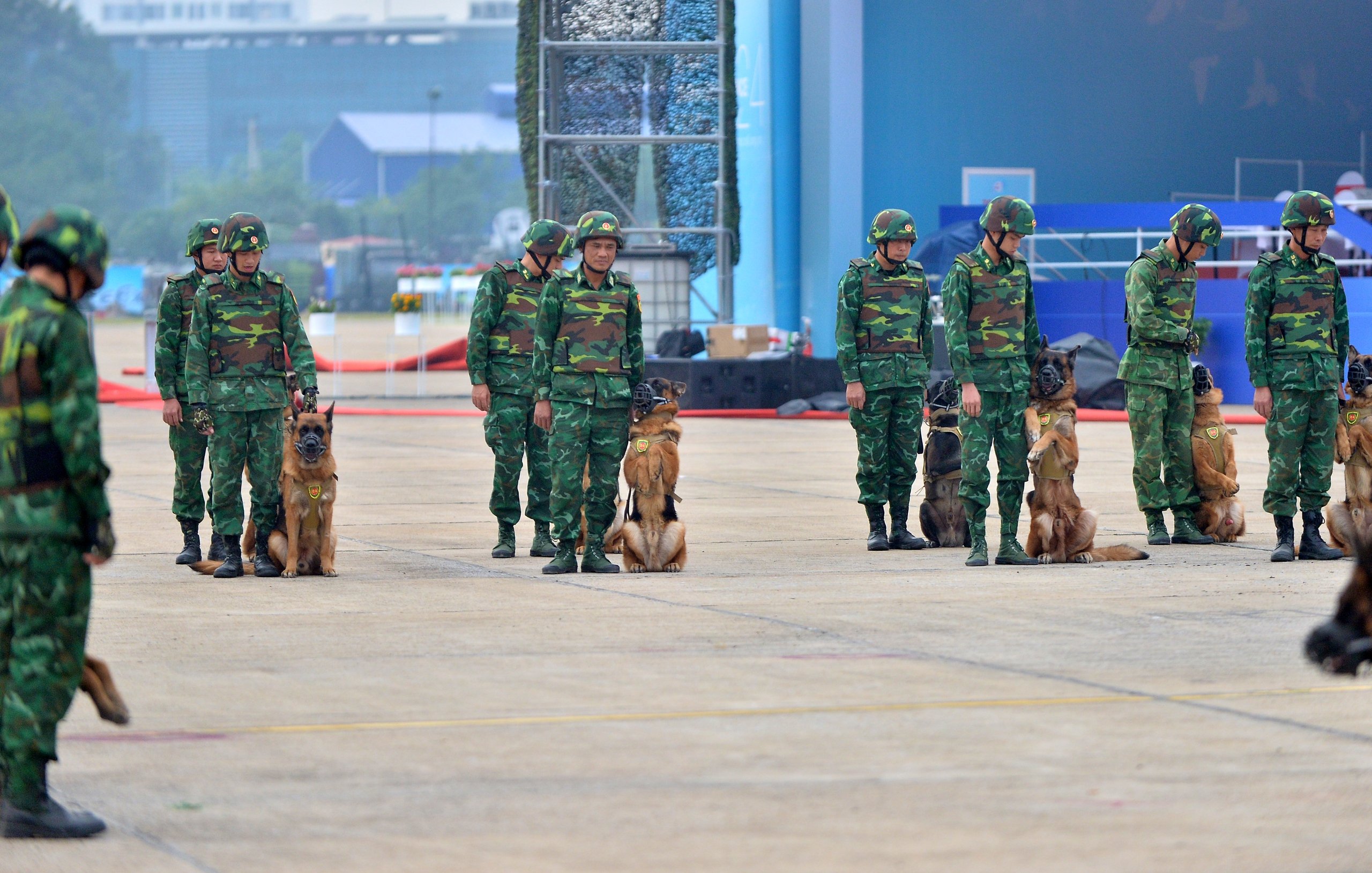 Chó nghiệp vụ từng cứu hộ Làng Nủ trình diễn tại Triển lãm Quốc phòng quốc tế- Ảnh 3.