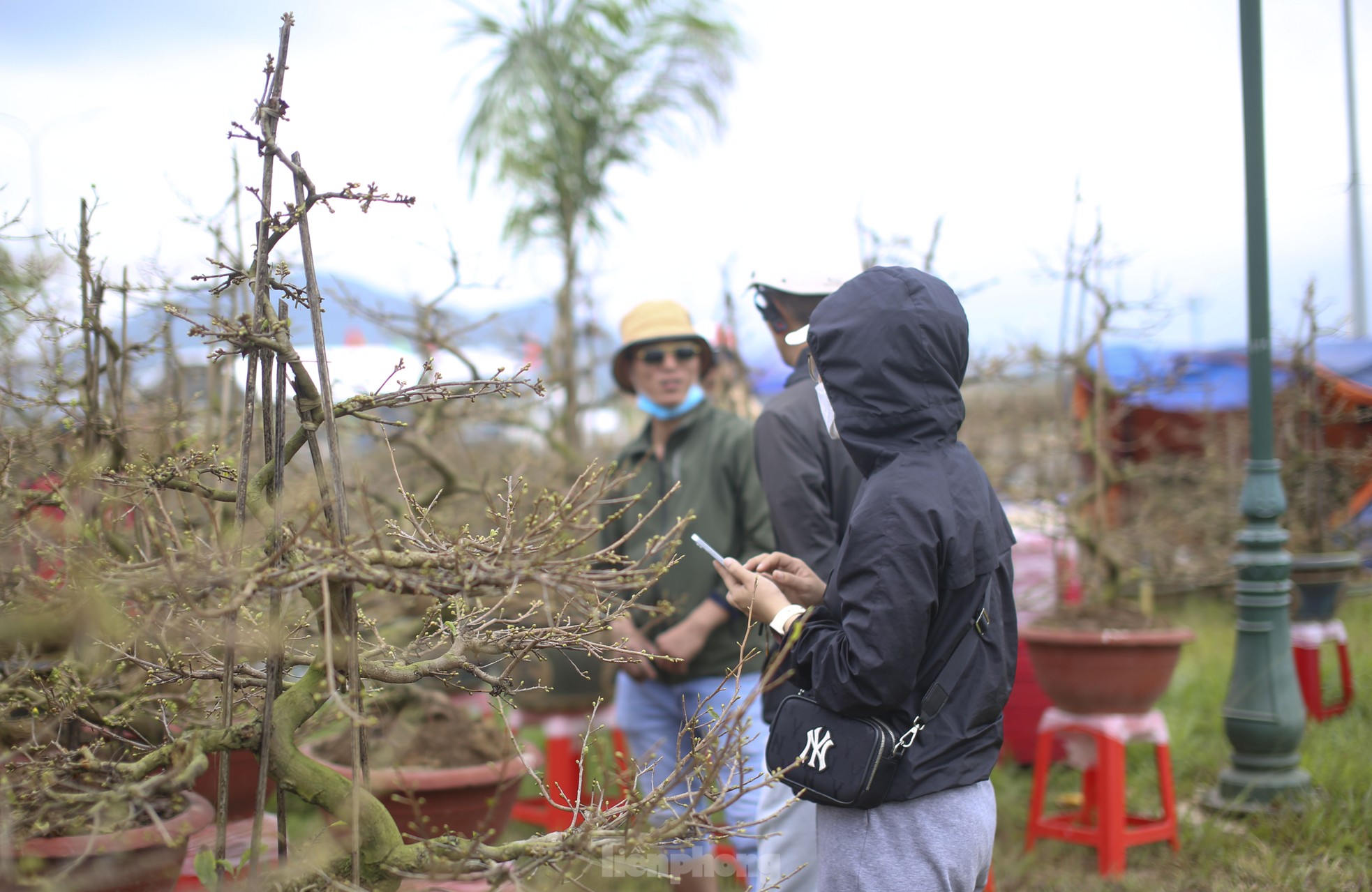 Los jardineros están ocupados instalando puestos y colocando flores de Mai en la calle para 'retener' a los clientes, foto 13