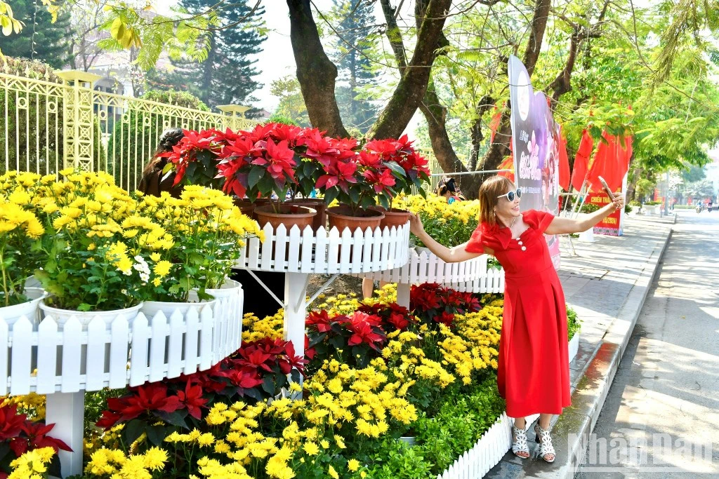 [Photo] Dien Bien Phu streets are bright with flags and flowers to welcome Dien Bien National Tourism Year 2024 photo 7