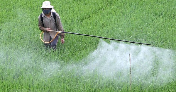¿Por qué los expertos recomiendan que los agricultores utilicen una combinación de pesticidas químicos y biológicos?