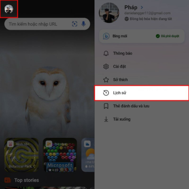Comment afficher l'historique de navigation Bing AI sur Android - 1