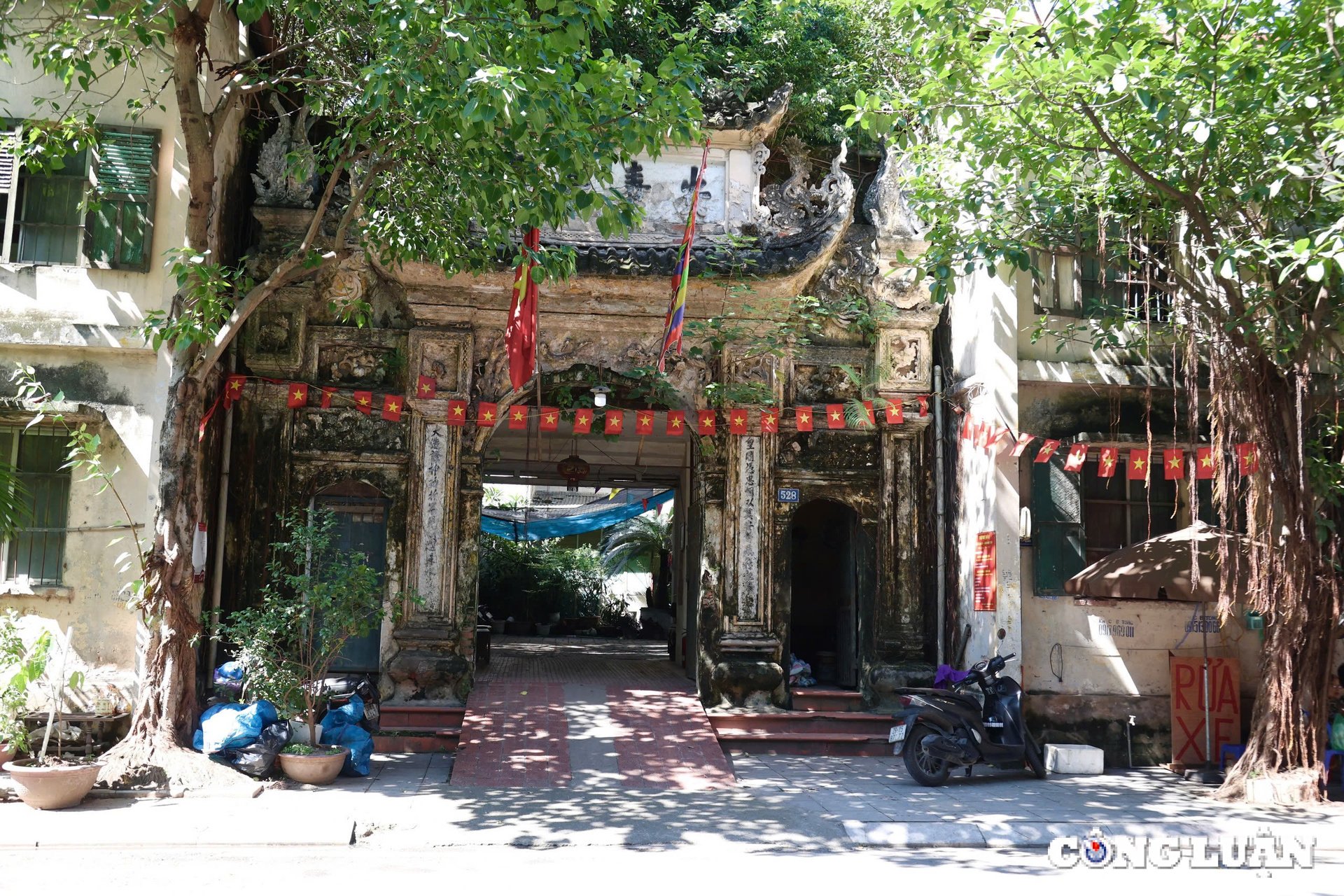 ruc ro co do sao vang truoc cong lang ha noi hinh 5