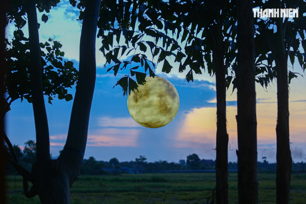 Quán cà phê 'hút' hàng trăm bạn trẻ nhờ... cánh đồng lúa - Ảnh 10.