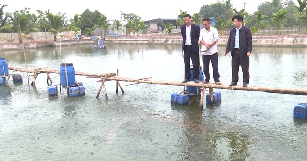 A farmer in Thai Binh province risked raising loach cartilage, unexpectedly it became a popular specialty with good income.