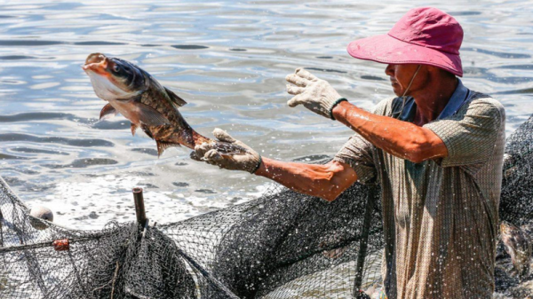 Las exportaciones de productos del mar “atacan” nichos de mercado