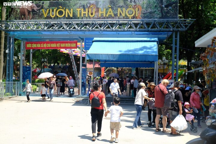 バーディン区ゴックカン区のトゥーレ公園（ハノイ動物園）。 （写真：ゴ・ニュン）