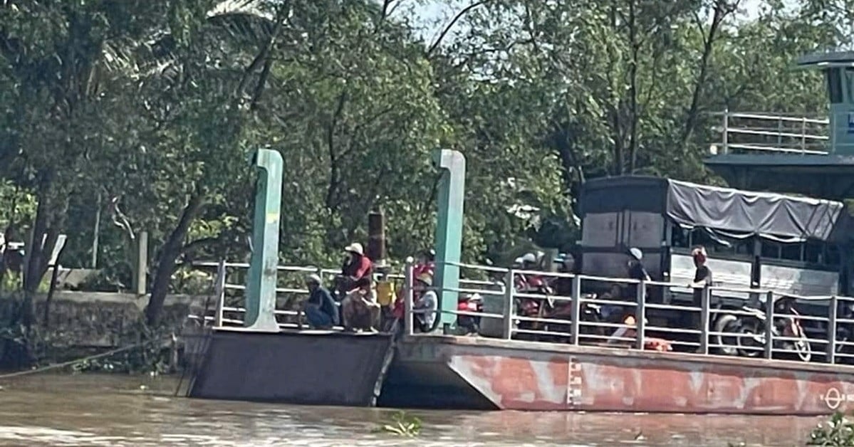 Clip records scene of truck carrying 3 people plunging from ferry into Tien River