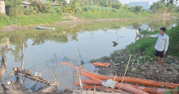 There is a possibility of 3 more saltwater intrusions, what do meteorological experts warn people in the Mekong Delta?