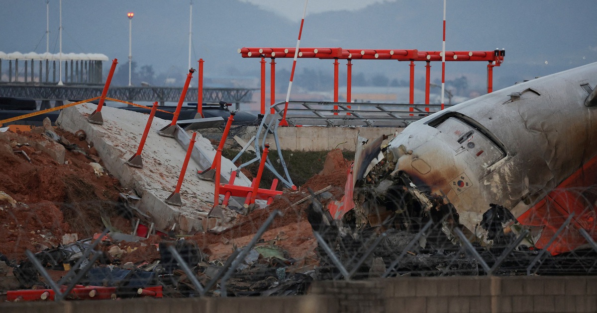 Federn und Blut in beiden Jeju-Air-Flugzeugtriebwerken gefunden