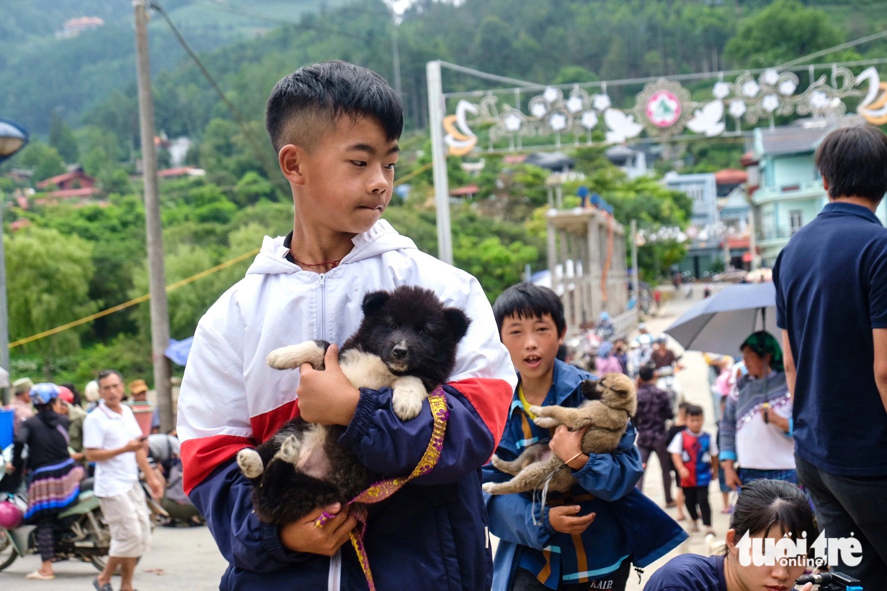 Hàng trăm chú chó lớn nhỏ được bà con địa phương dắt xuống chợ phiên