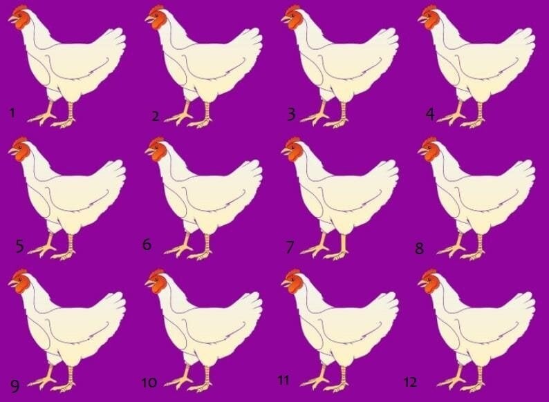 Seulement 1% des gens peuvent trouver le poulet différent - 1