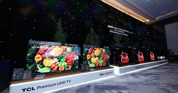 TCL anuncia nueva serie de electrodomésticos inteligentes en Vietnam