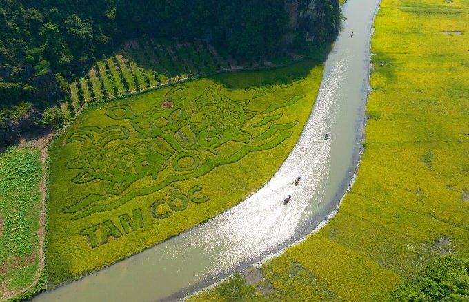 ninh binh muc dong thoi sao tren canh dong tam coc hinh 1