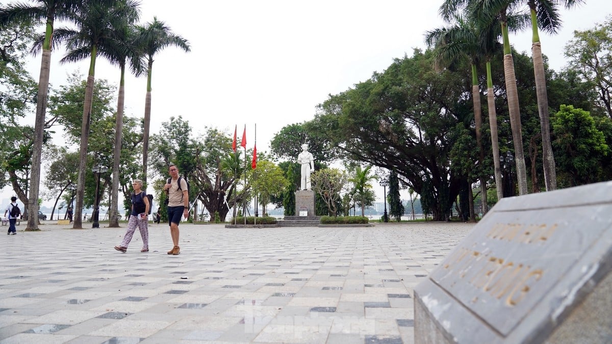 New look of Ly Tu Trong flower garden after 25 billion VND investment in renovation and beautification photo 7