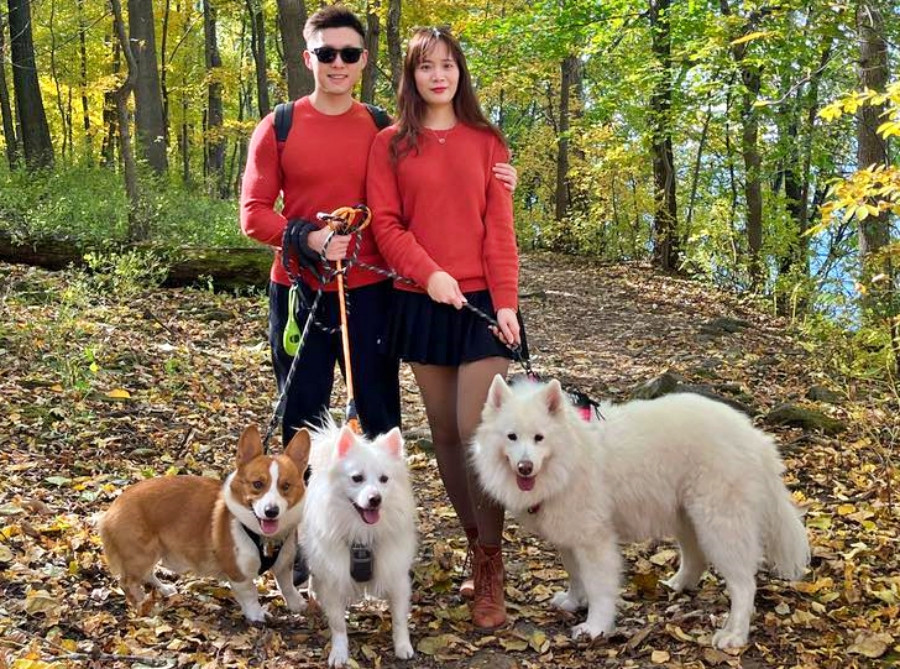 Nhìn chàng trai chăm thú cưng, nữ kỹ sư biết mình yêu đúng người - Ảnh 3.