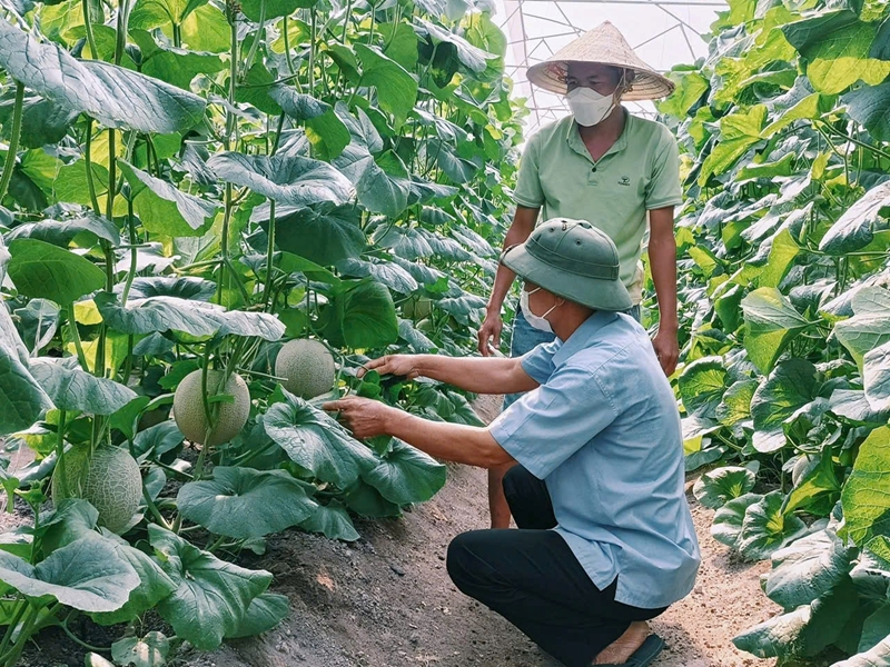 Bình Dương: Chương trình OCOP đã khơi dậy tiềm năng, lợi thế các vùng, địa phương