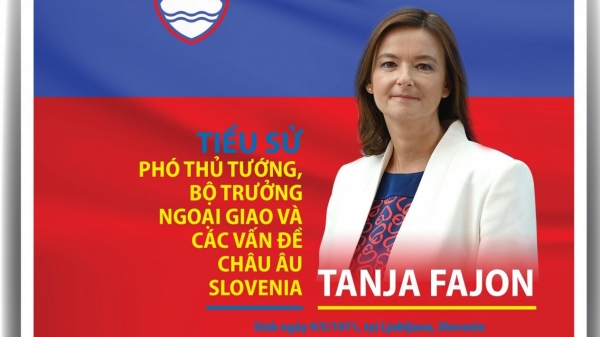 Tiểu sử Phó Thủ tướng, Bộ trưởng Ngoại giao và các vấn đề châu Âu Cộng hòa Slovenia