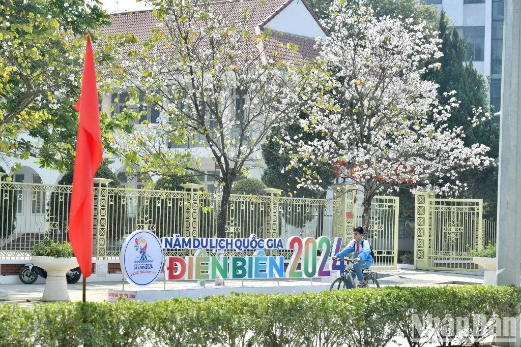 [Photo] Dien Bien Phu streets are bright with flags and flowers to welcome Dien Bien National Tourism Year 2024 photo 2