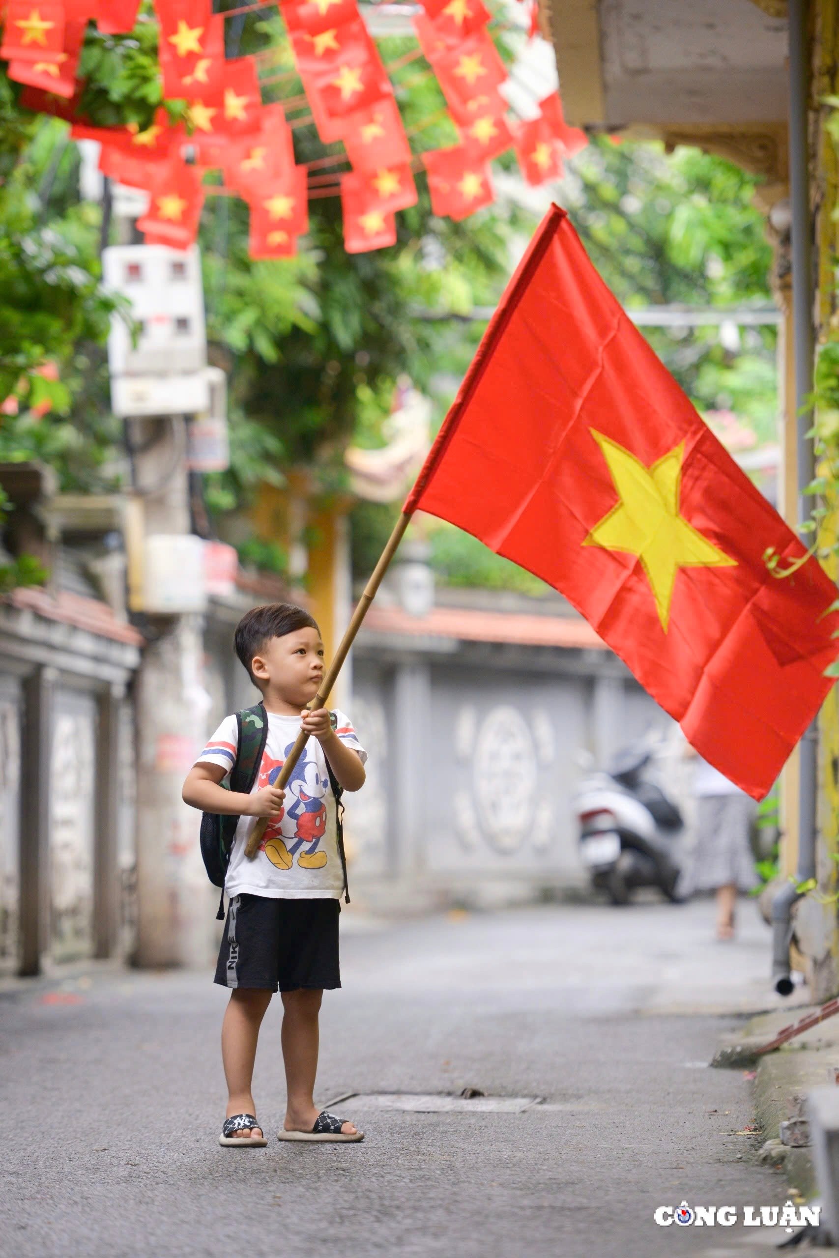 ruc ro co do sao vang truoc cong lang ha noi hinh 11