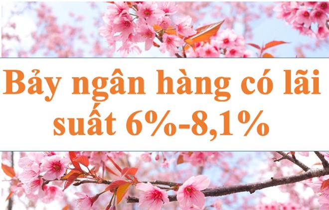 Lãi suất ngân hàng hôm nay 25.6: Bảy ngân hàng có lãi suất 6 - 8,1%