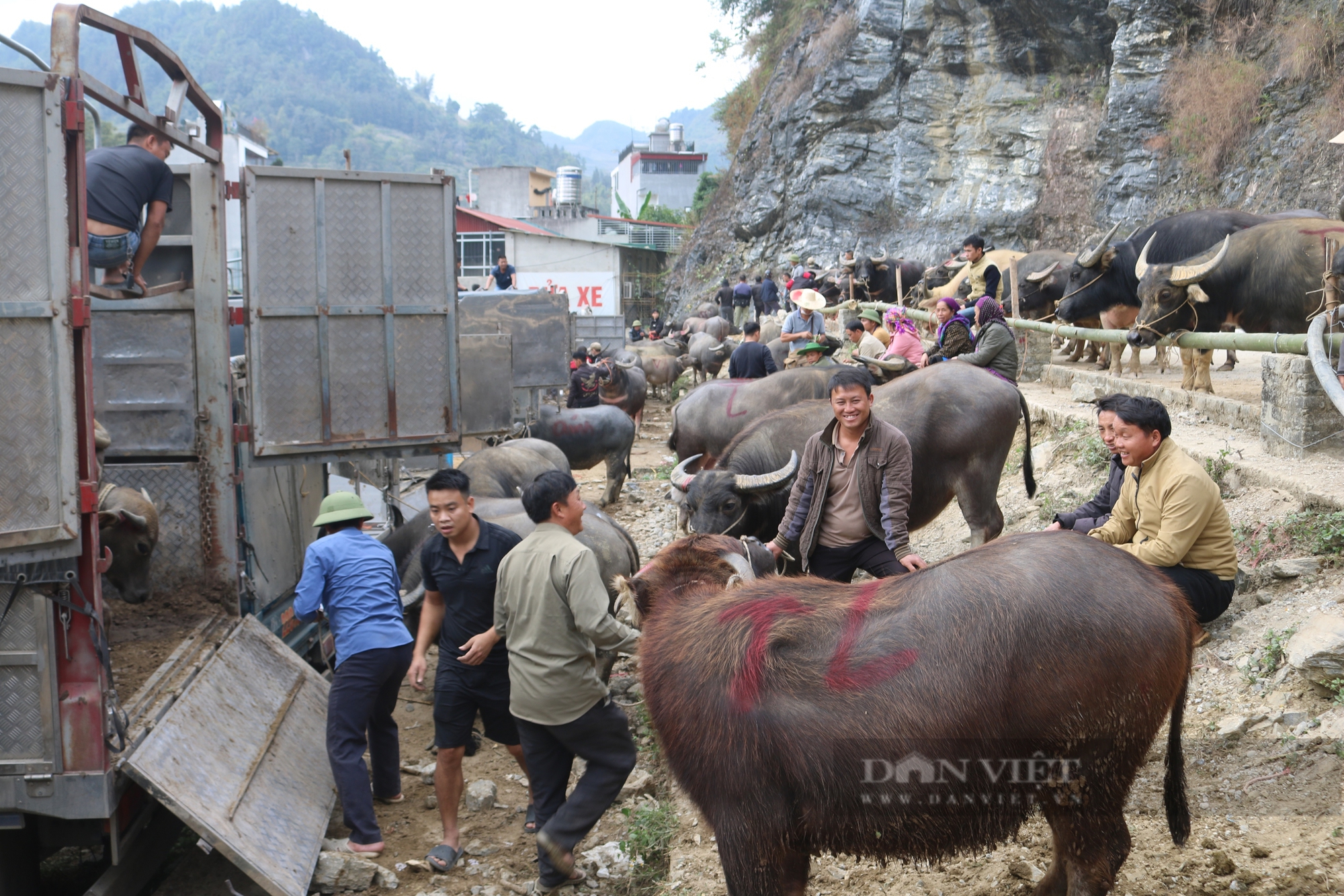 Nhộn nhịp chợ trâu lớn nhất vùng Tây Bắc - Ảnh 17.