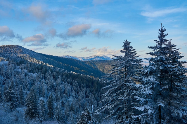 See how US national parks 'change their clothes' in winter? - Photo 3.