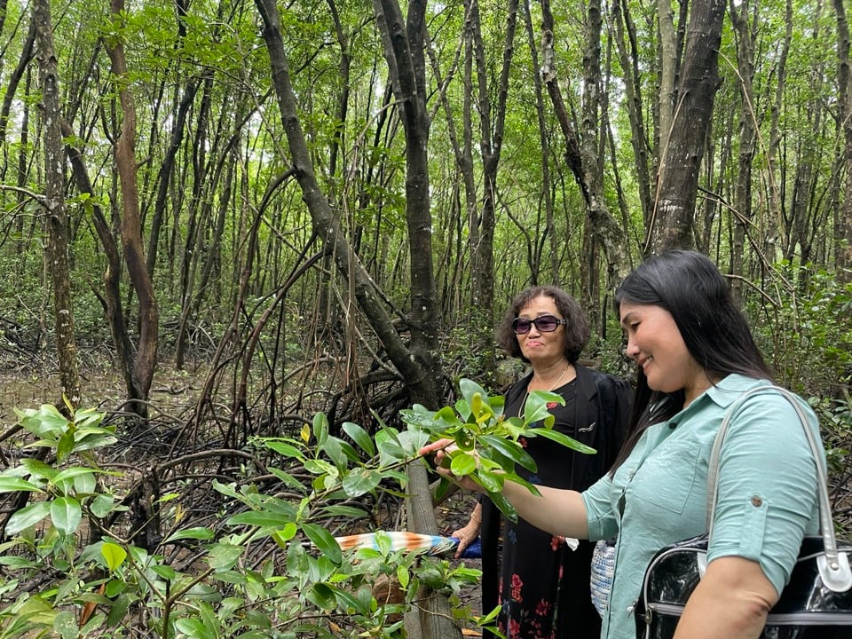 Tourists enjoy admiring the mangrove forest at Ca Mau Cape, which hundreds of years ago was a sea area, but is now solid land. (Hoang Nam)