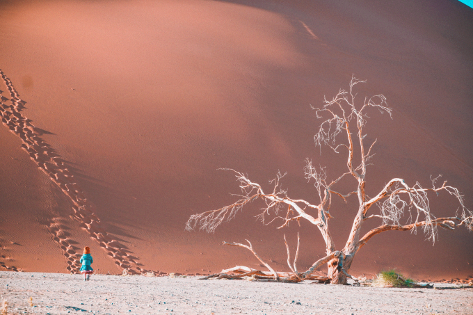 Fat (robe bleue) se tient devant la haute dune de sable de Dune 45, une dune de sable vieille d'environ 5 millions d'années, dans le désert du Namib, vieille de plus de 50 millions d'années.