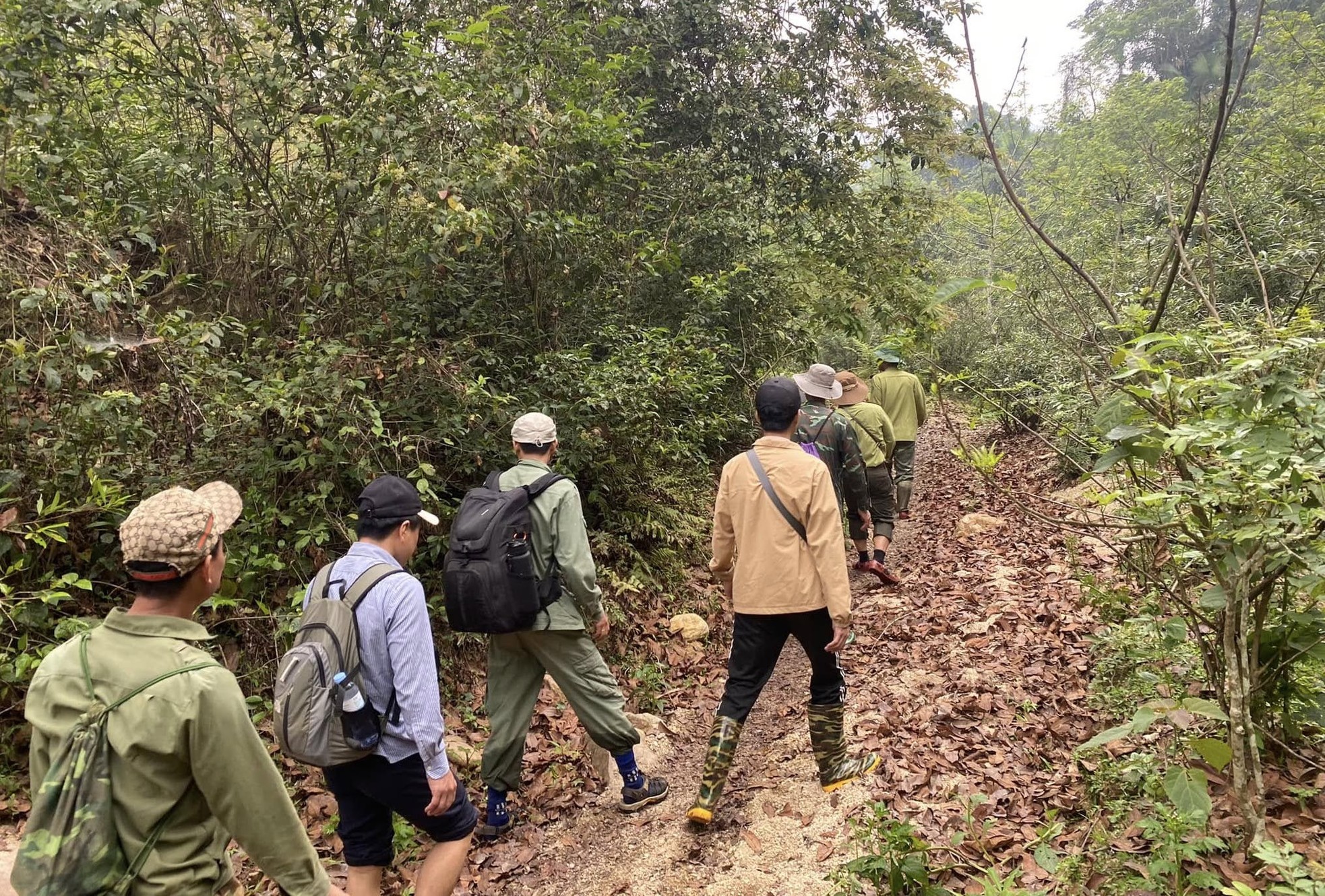 Ranger journey into the forest to set camera traps in Pu Huong Nature Reserve photo 5