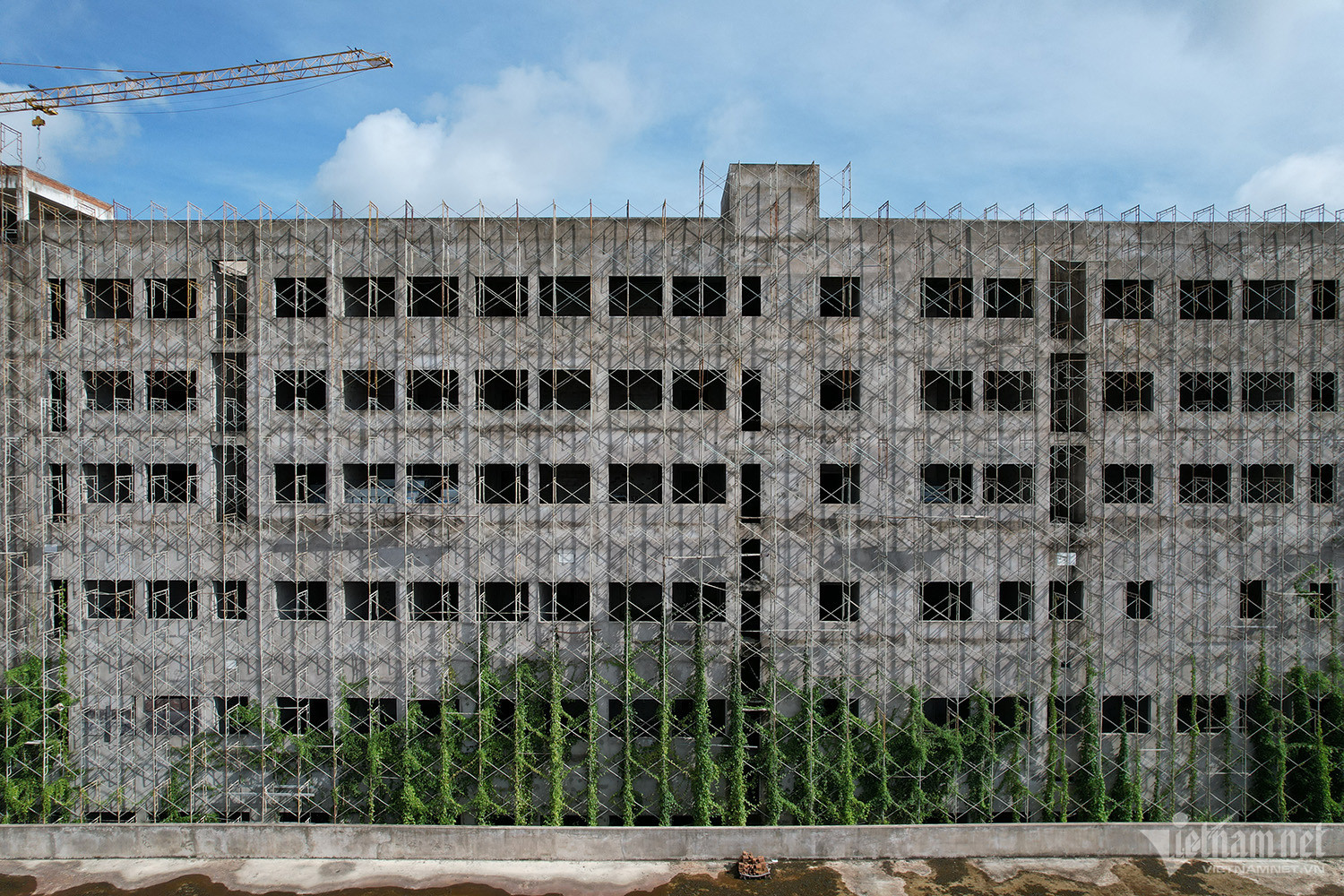 w hospital cancer 6 1 441.jpg